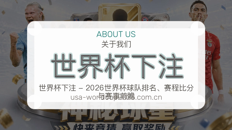 世界杯下注 APP 服务与网页版入口说明